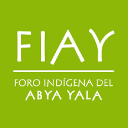 Foro Indígena de Abya Yala (FIAY)