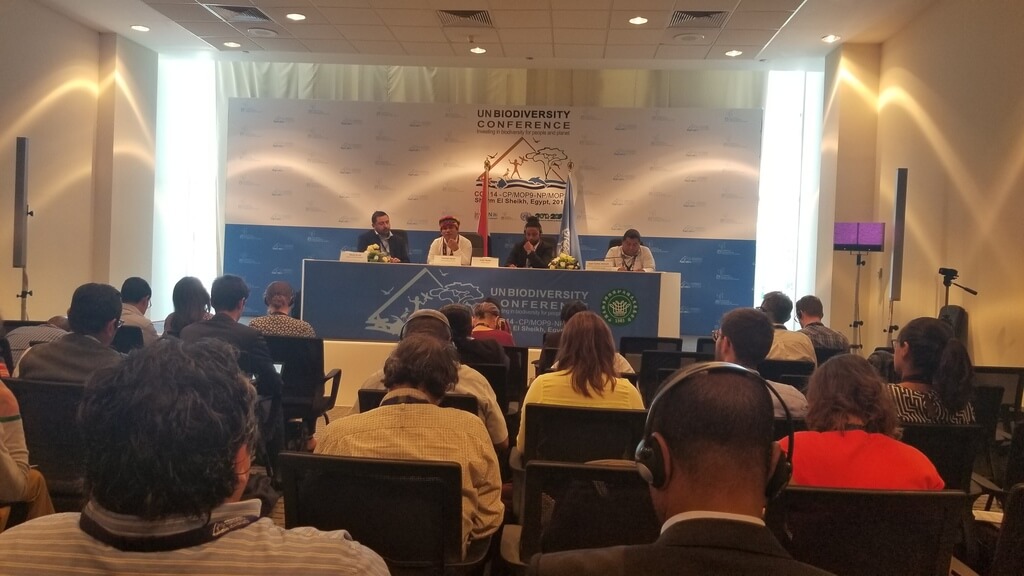 Charla liderada por Pueblos Indígenas en la Conferencia de Diversidad Biológica COP14, en Sharm El-Sheikh, Egipto.