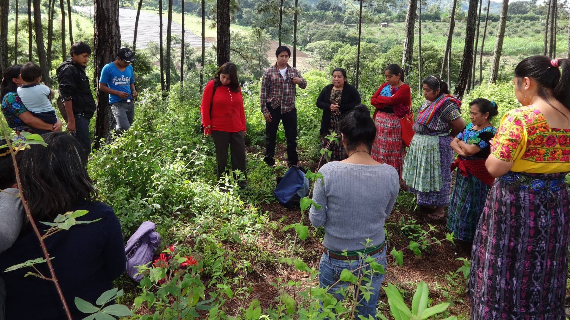 Grupo de personas de comunidades y Pueblos Indígenas de Guatemala con ropas tradicionales reunidos en un bosque.
