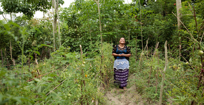 Mujer indígena maya rodeada de naturaleza sobre un sendero, Guatemala