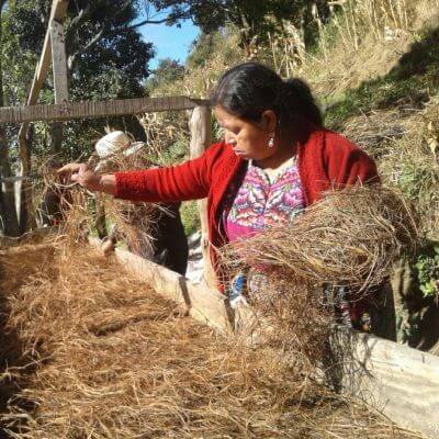 Mujer indígena trabajando en el campo con heno, Guatemala.