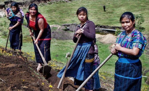 Mujeres indígenas de Guatemala con ropa tradicional trabajando en la tierra con azadones.