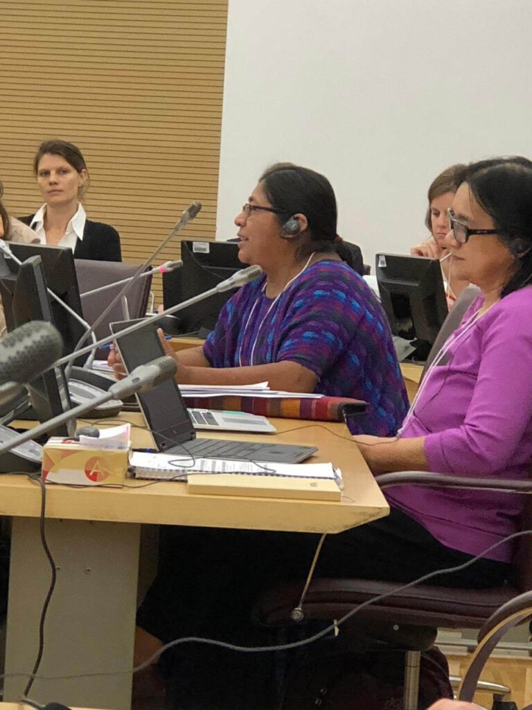 Representante de Pueblos Indígenas en la Conferencia sobre el Cambio Climático COP24, en Katowice, Polonia.